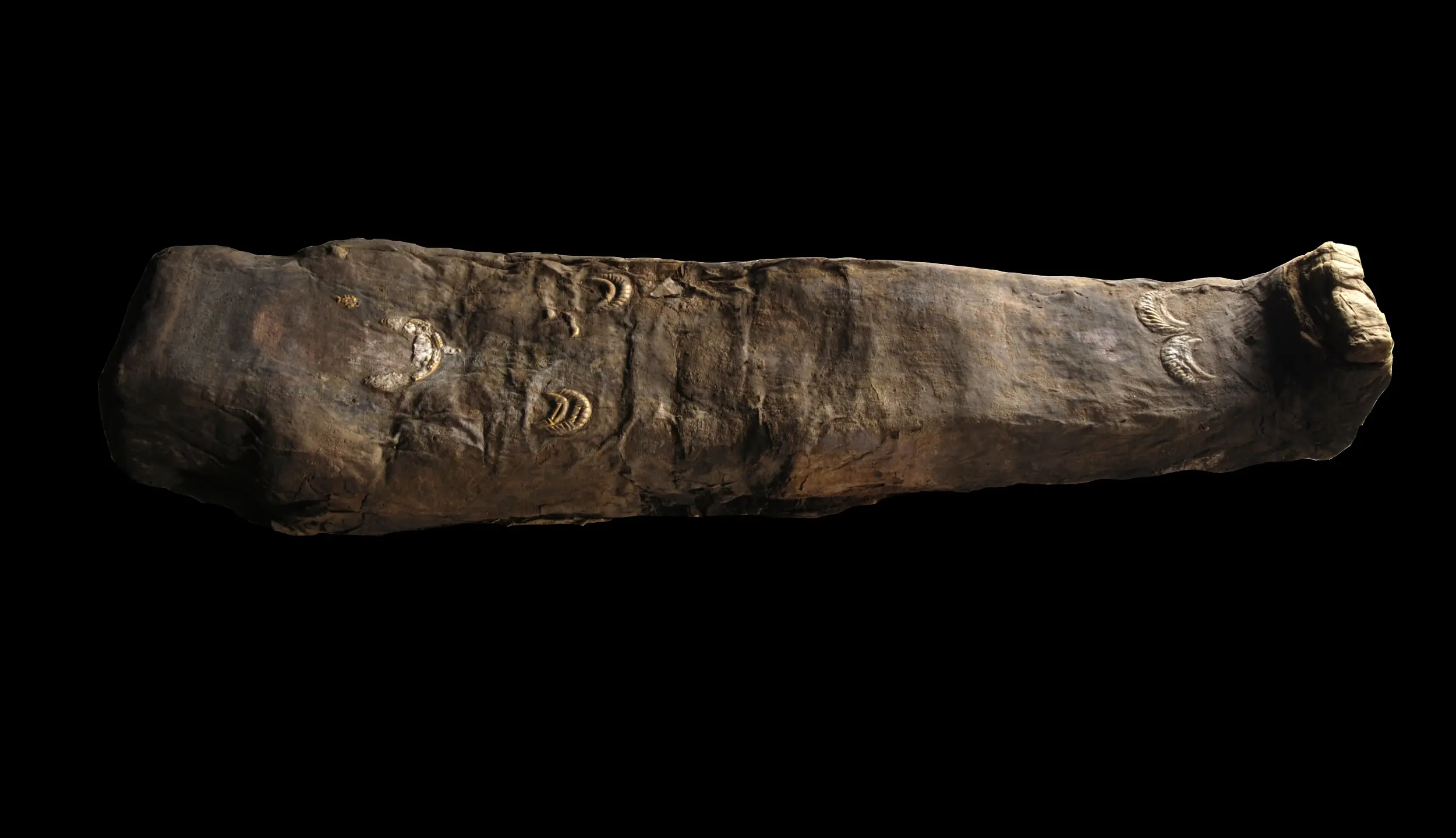 d.1923.2.115.jpg